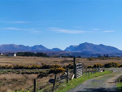 Picture 2